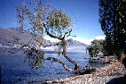 Al Queroun lake in the Beqaa valley.