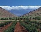 Beqaa valley.