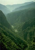 Mountains of Lebanon.