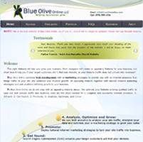 Old Website of Blue Olive Online