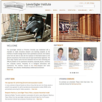 LSI Drupal Website.